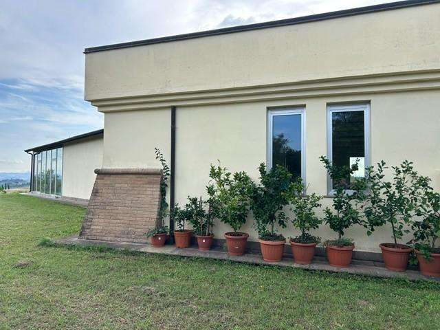  - foto 6