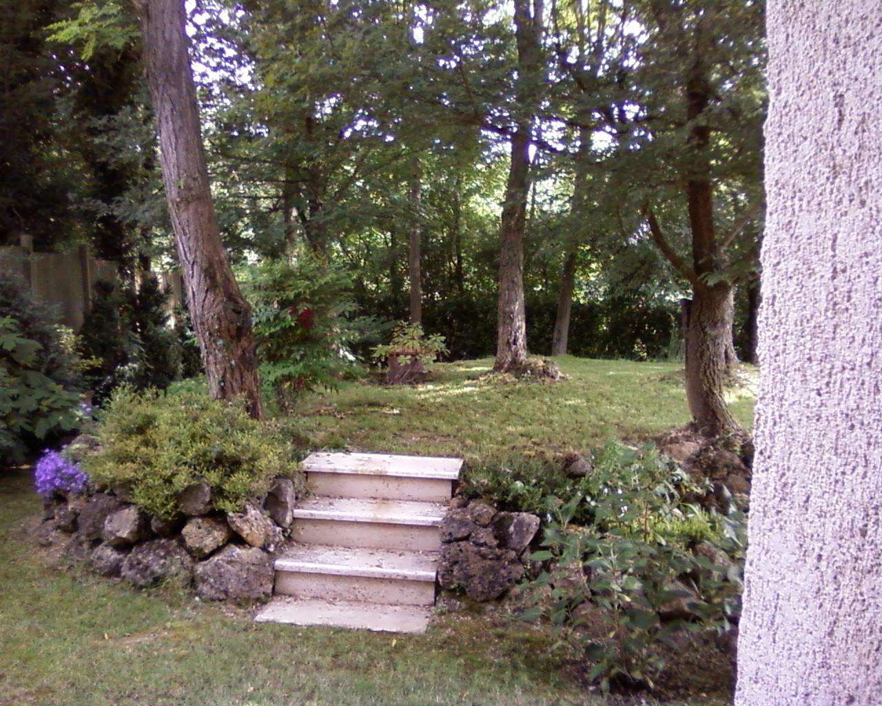  - foto 6