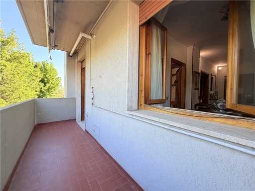 - foto 21