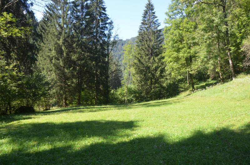  - foto 7