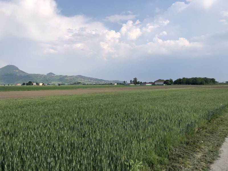  - foto 3