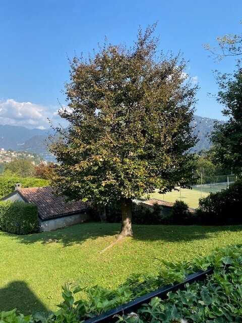  - foto 23