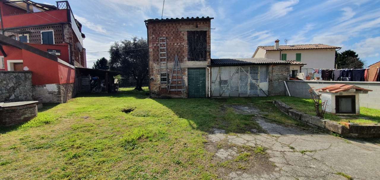 Azienda agricola Lucca LU,, Lucca