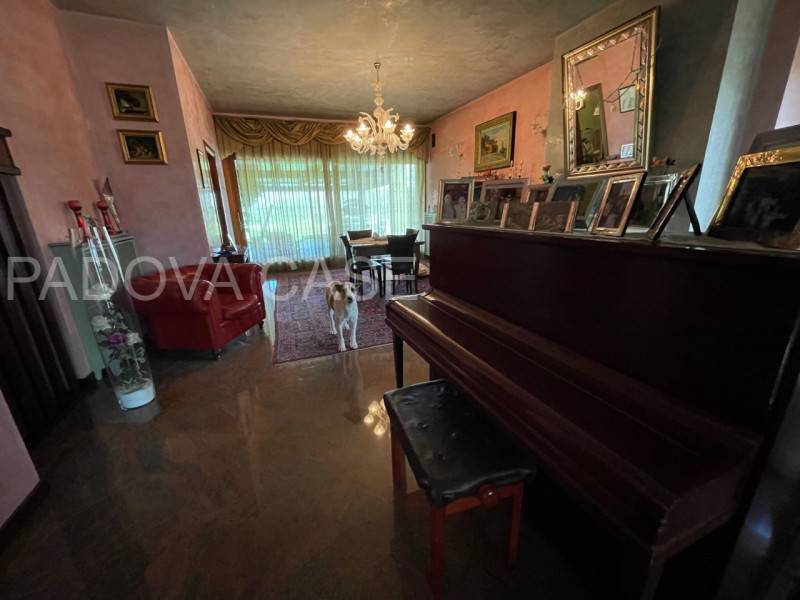  - foto 6