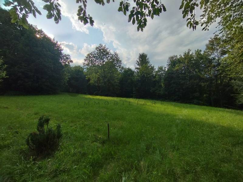 Terreno agricolo Staro, Valli del Pasubio