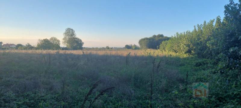Terreno agricolo Fauglis, Gonars