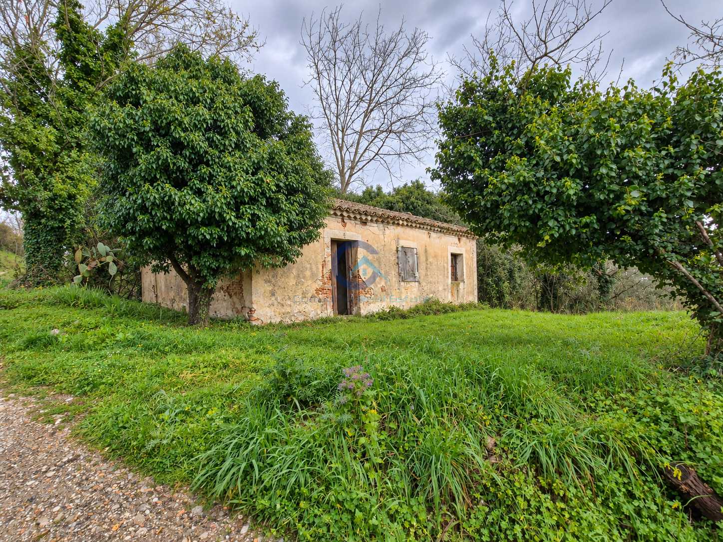 Casa indipendente CONTRADA CERASIA, Borgia