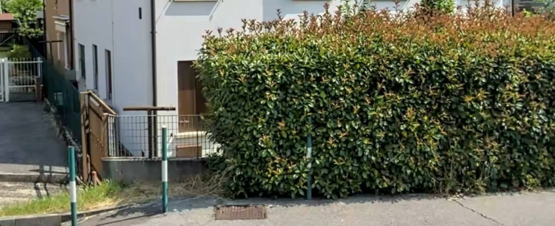  - foto 7