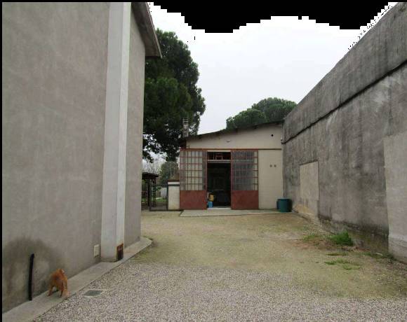  - foto 8