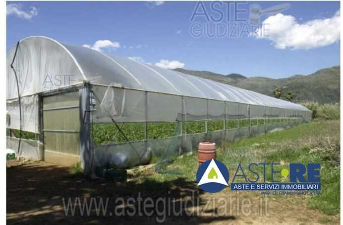 Terreno agricolo loc. Rene - via vicinale senza nome, Fondi