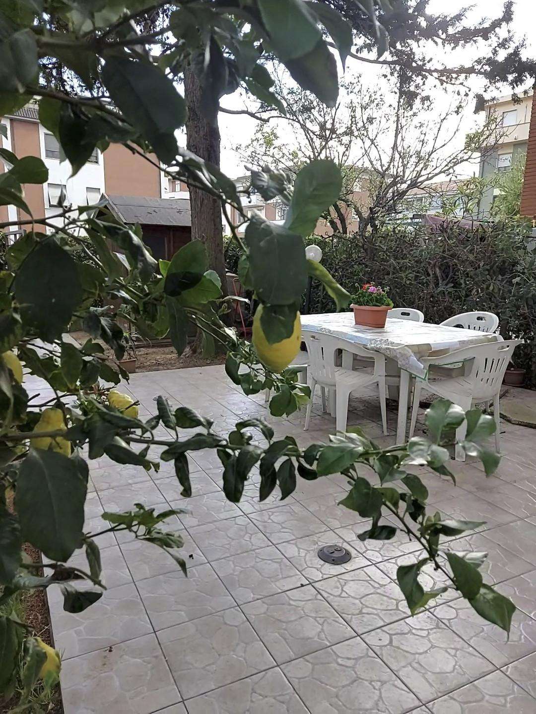  - foto 11