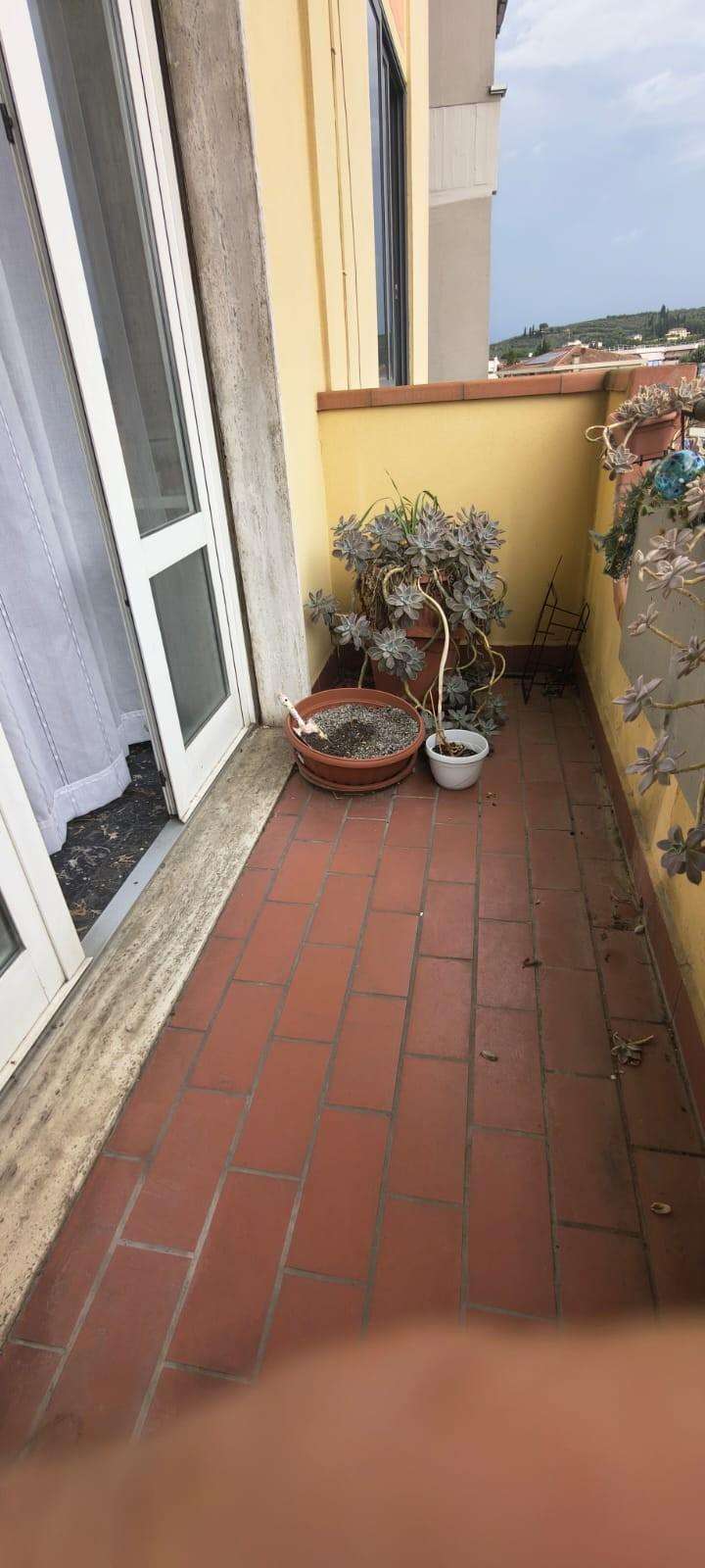  - foto 12