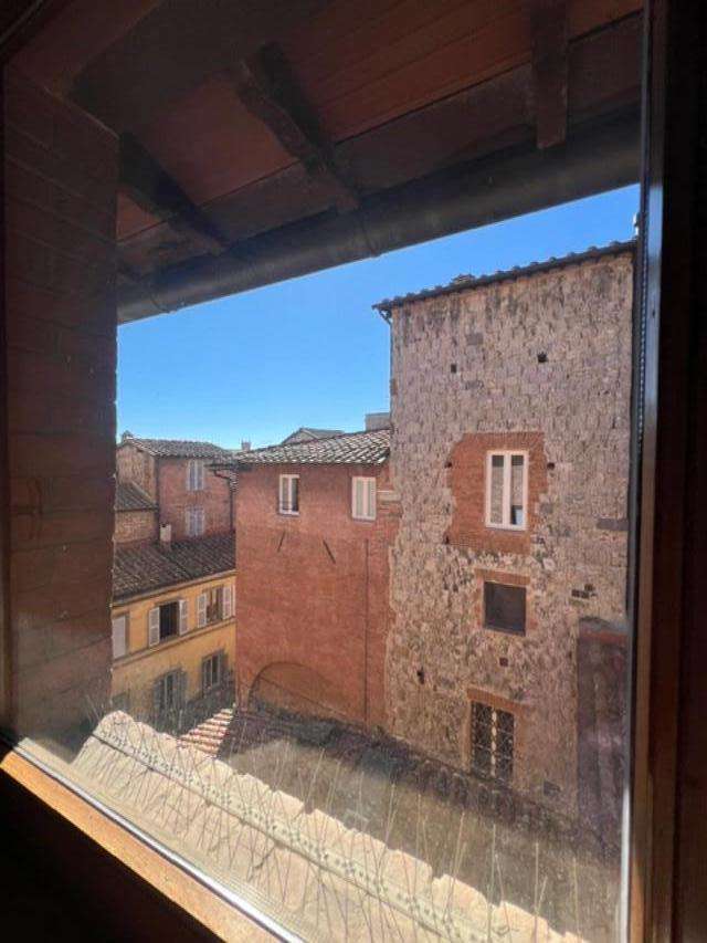  - foto 15
