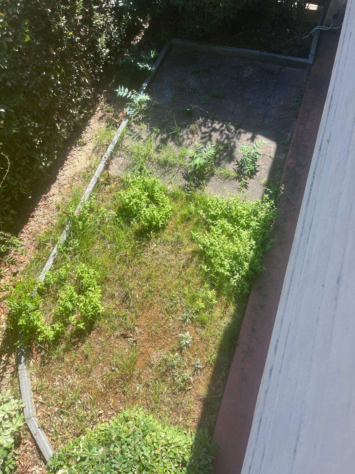  - foto 10