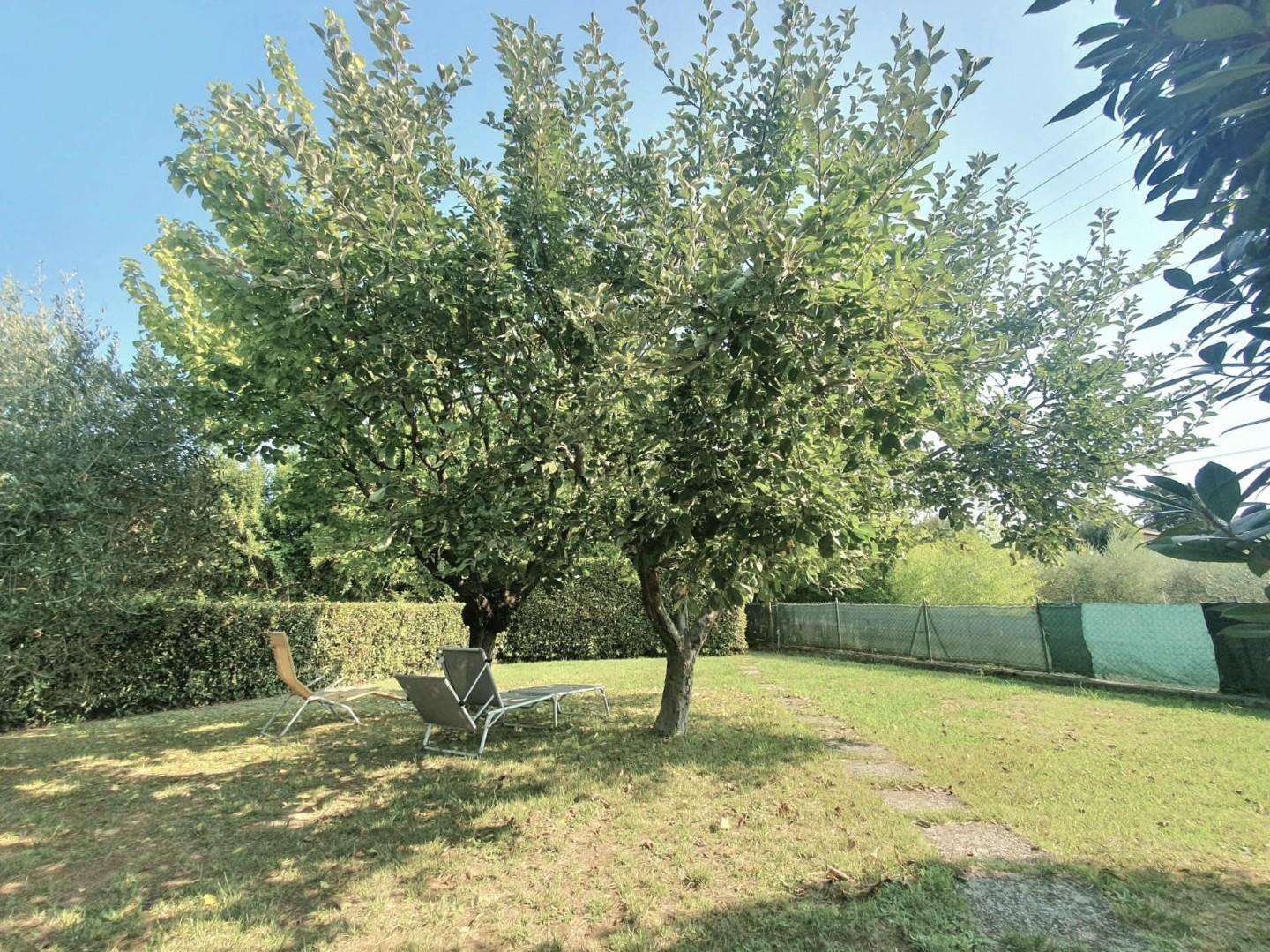  - foto 55