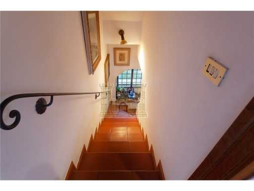  - foto 24