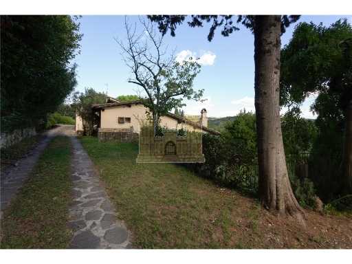  - foto 31
