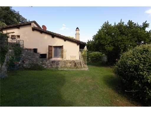  - foto 37