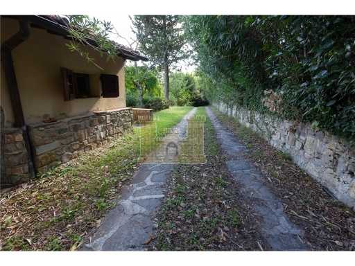  - foto 38