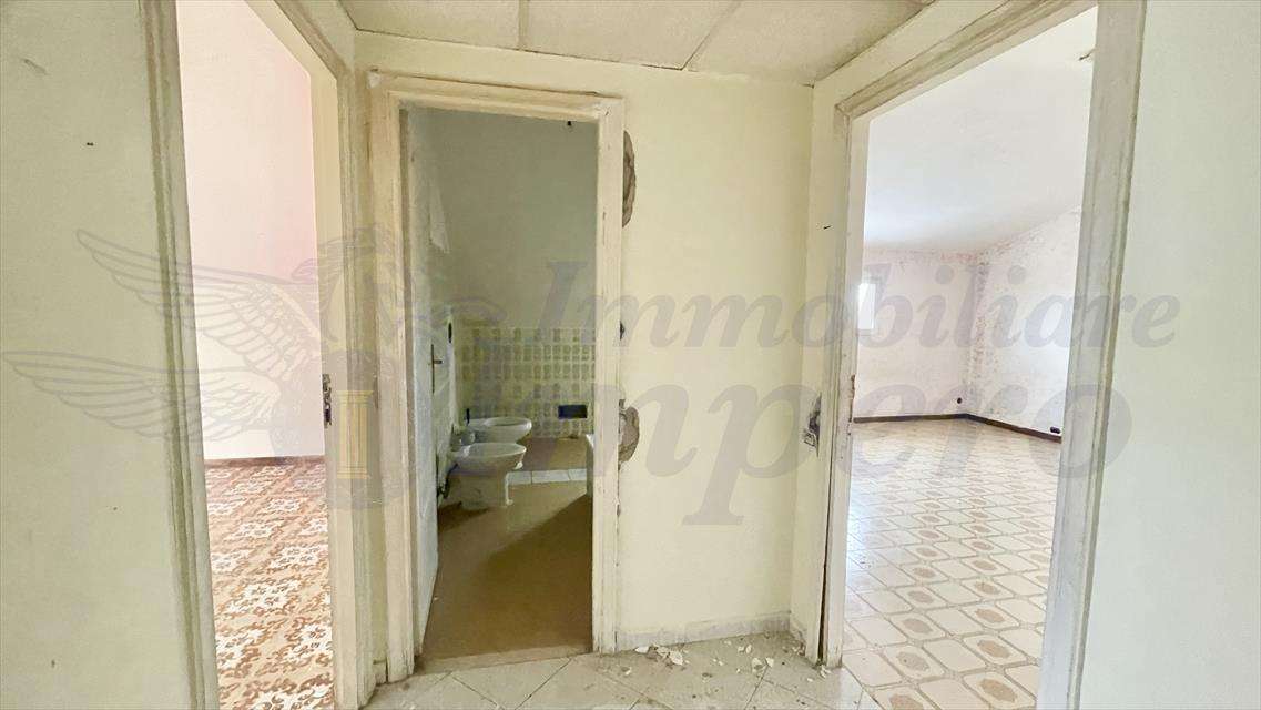 - foto 12