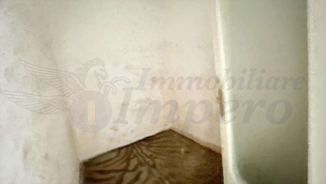  - foto 13