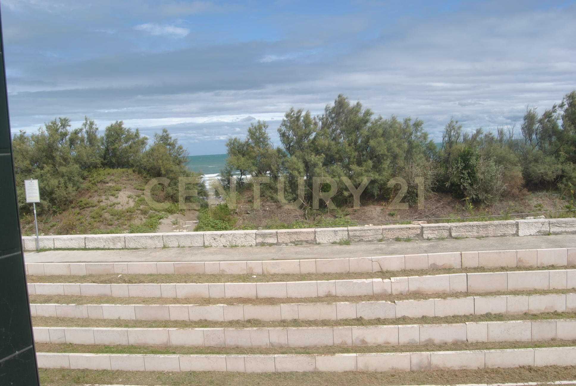  - foto 17