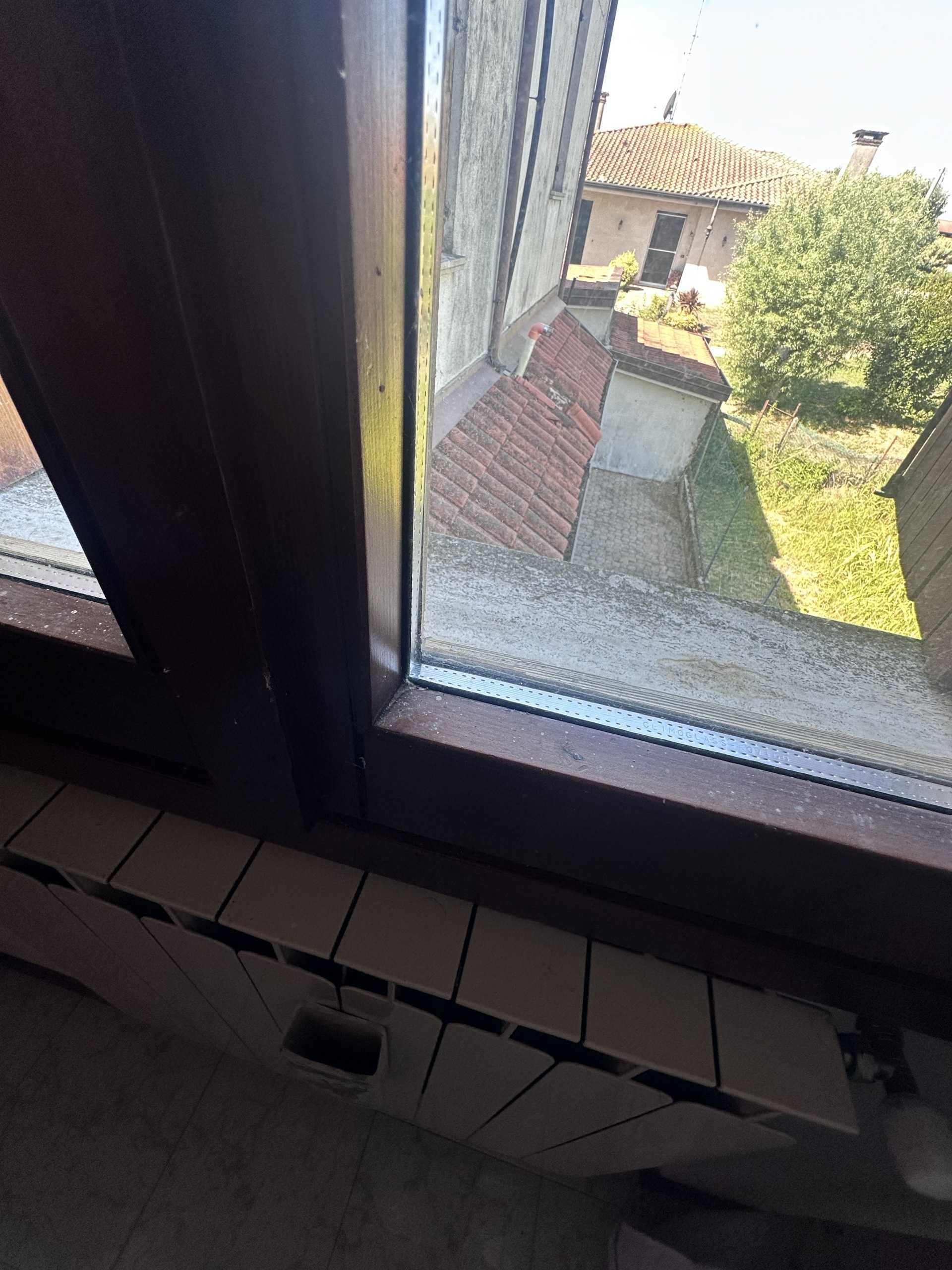  - foto 14