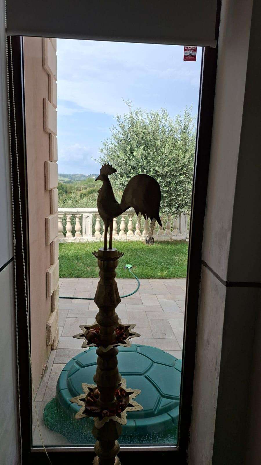  - foto 17