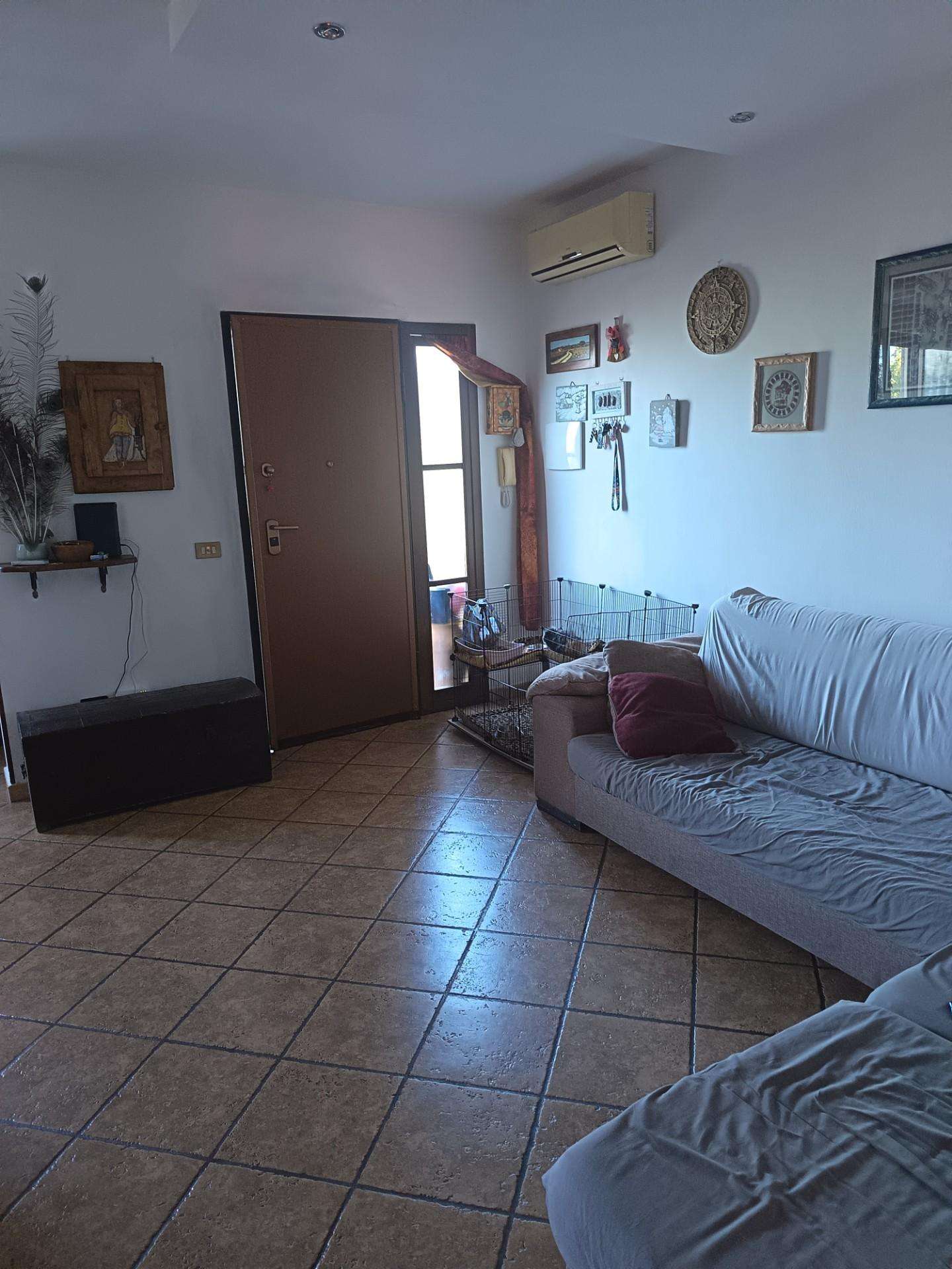  - foto 19
