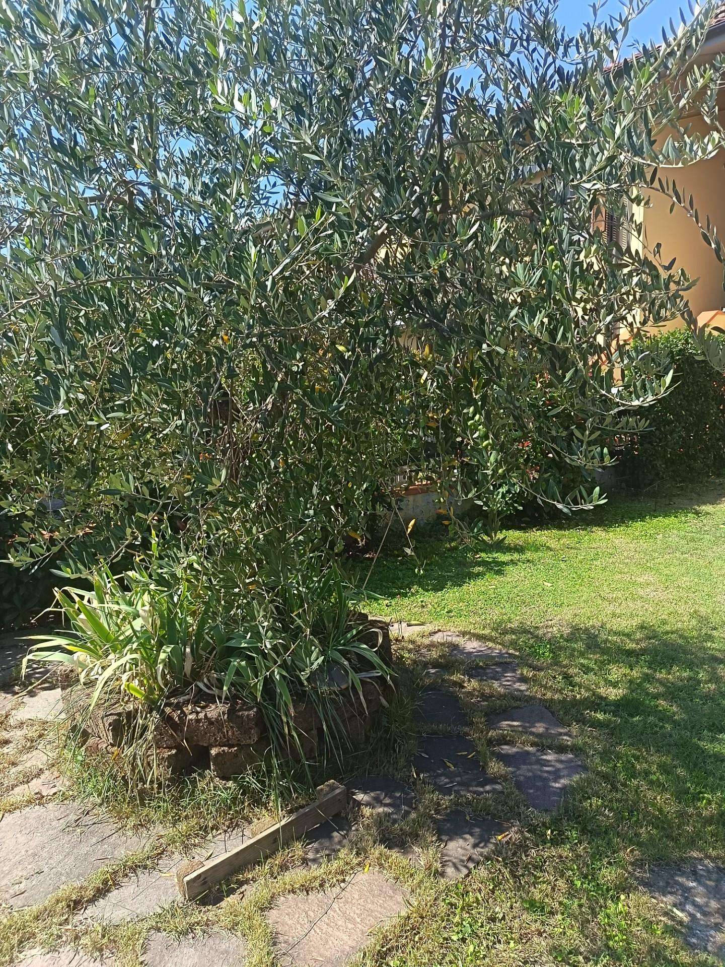  - foto 46