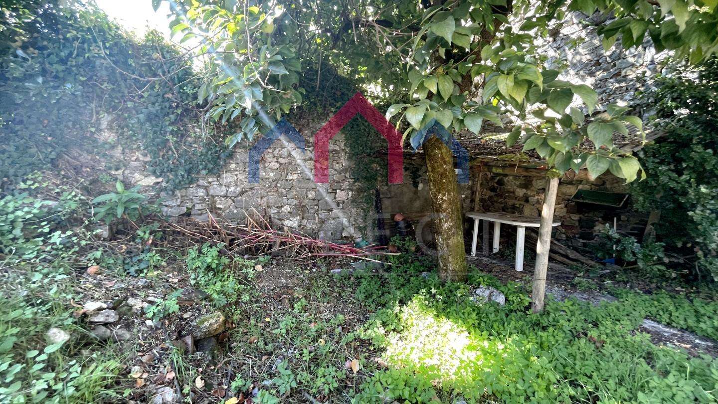  - foto 50