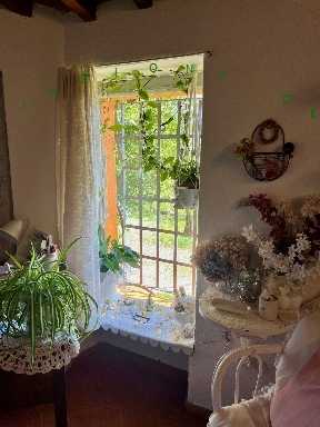  - foto 15