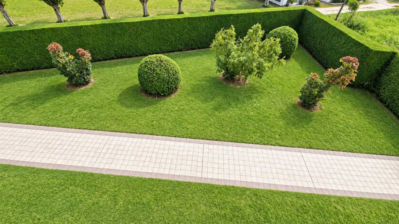  - foto 4