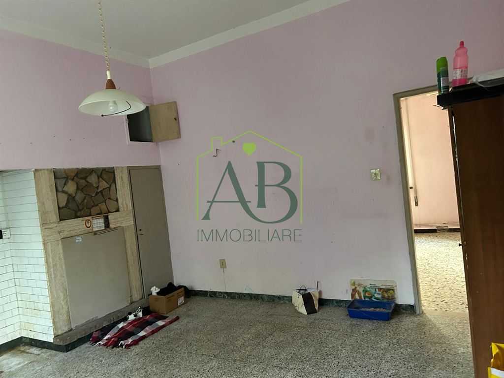  - foto 19