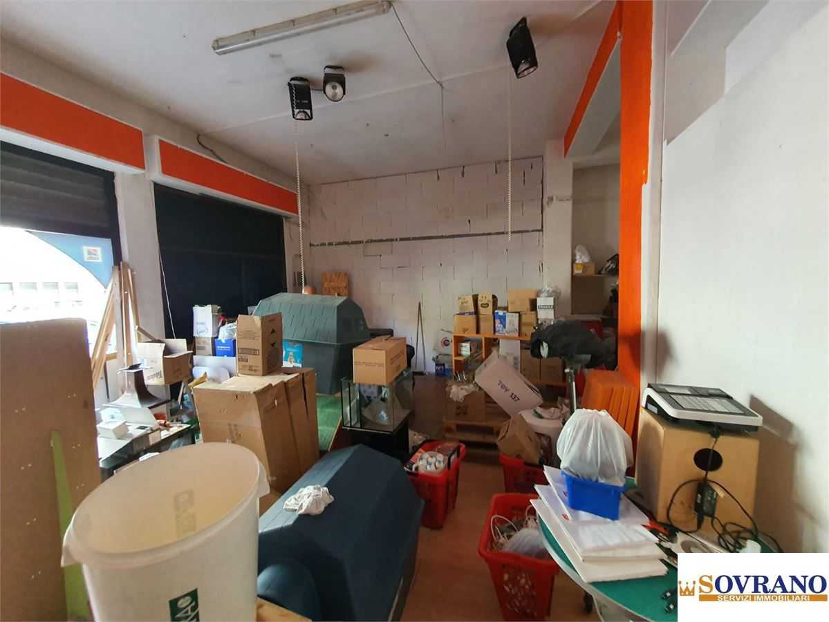  - foto 3