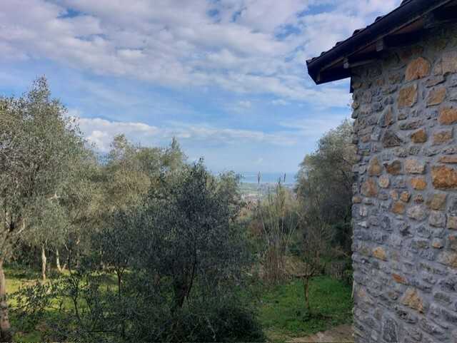  - foto 12