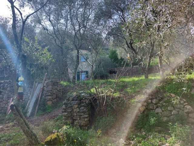  - foto 16