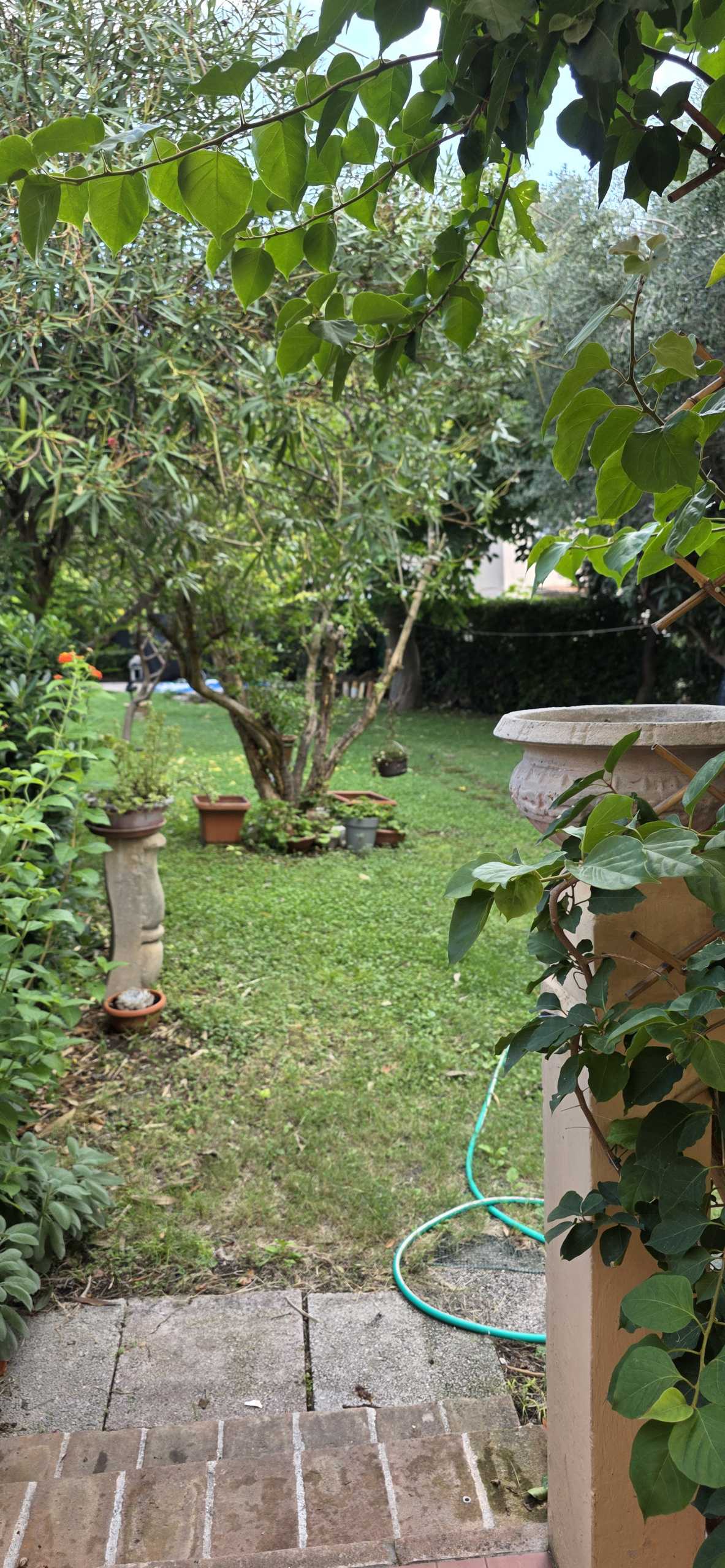  - foto 19