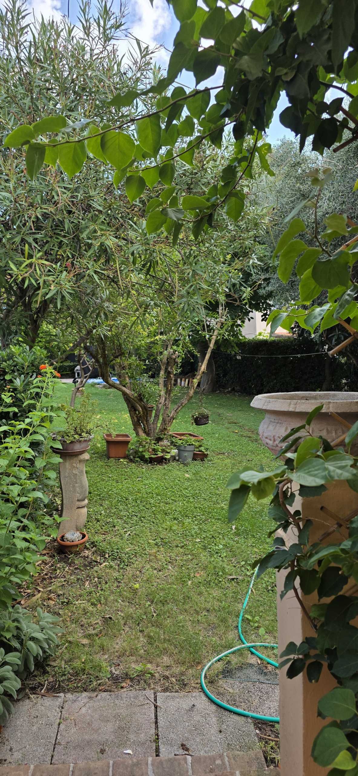  - foto 21