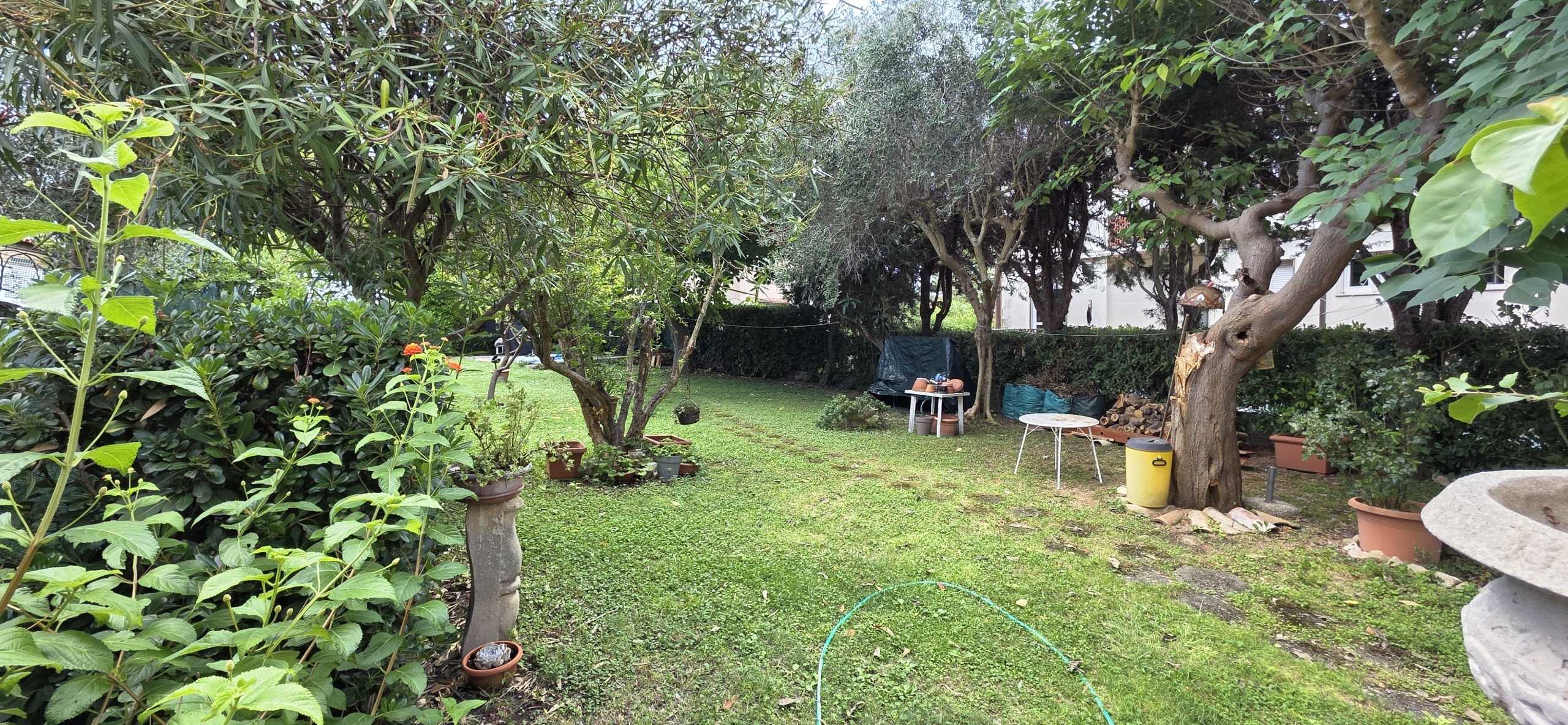  - foto 30