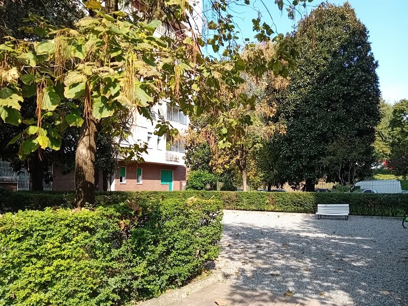  - foto 12