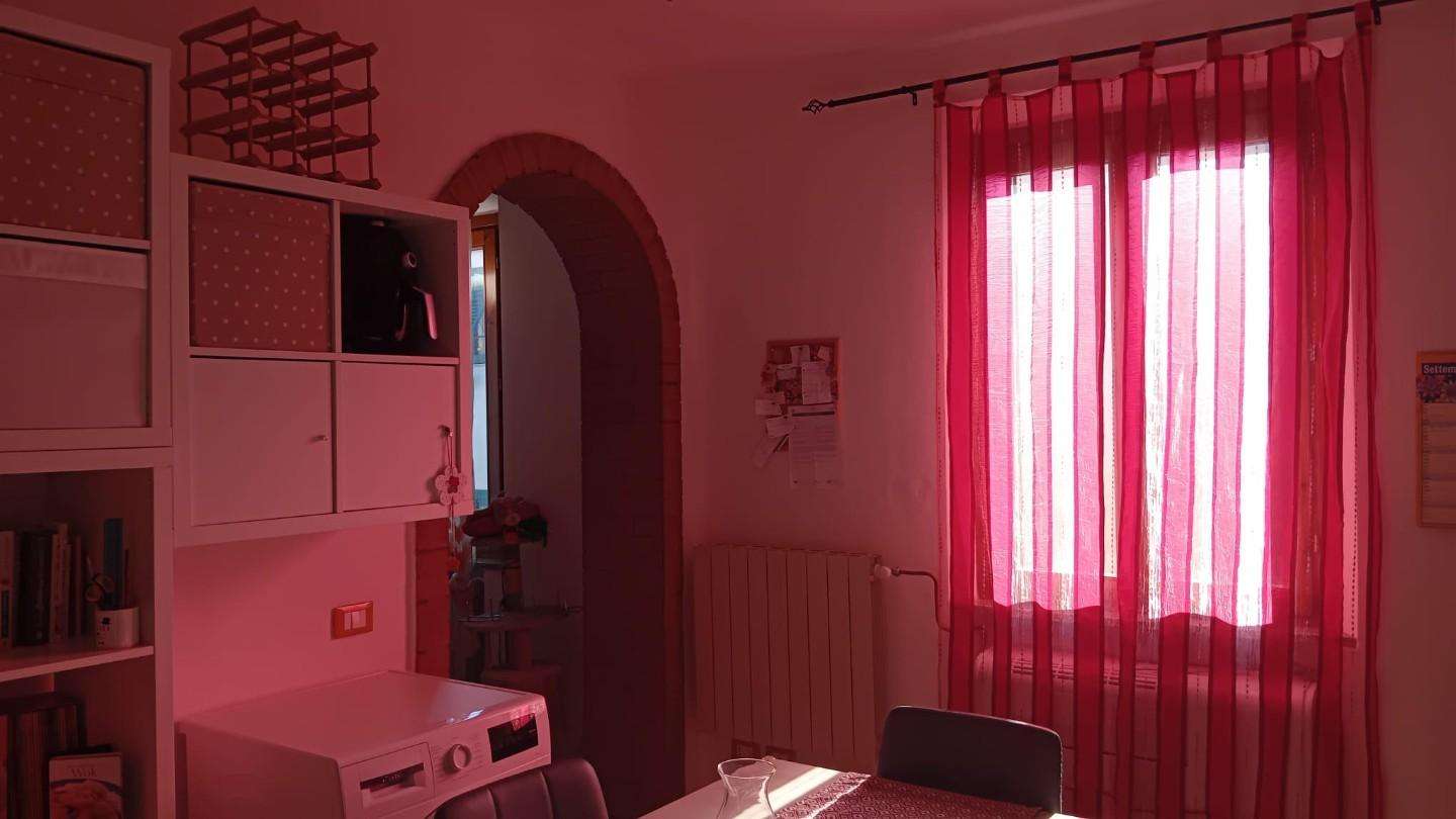  - foto 5
