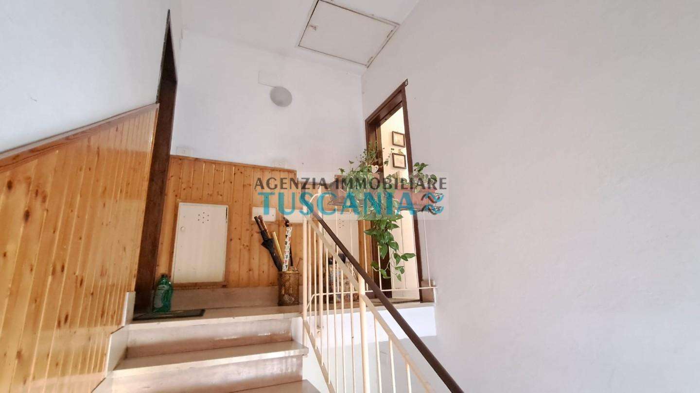  - foto 22