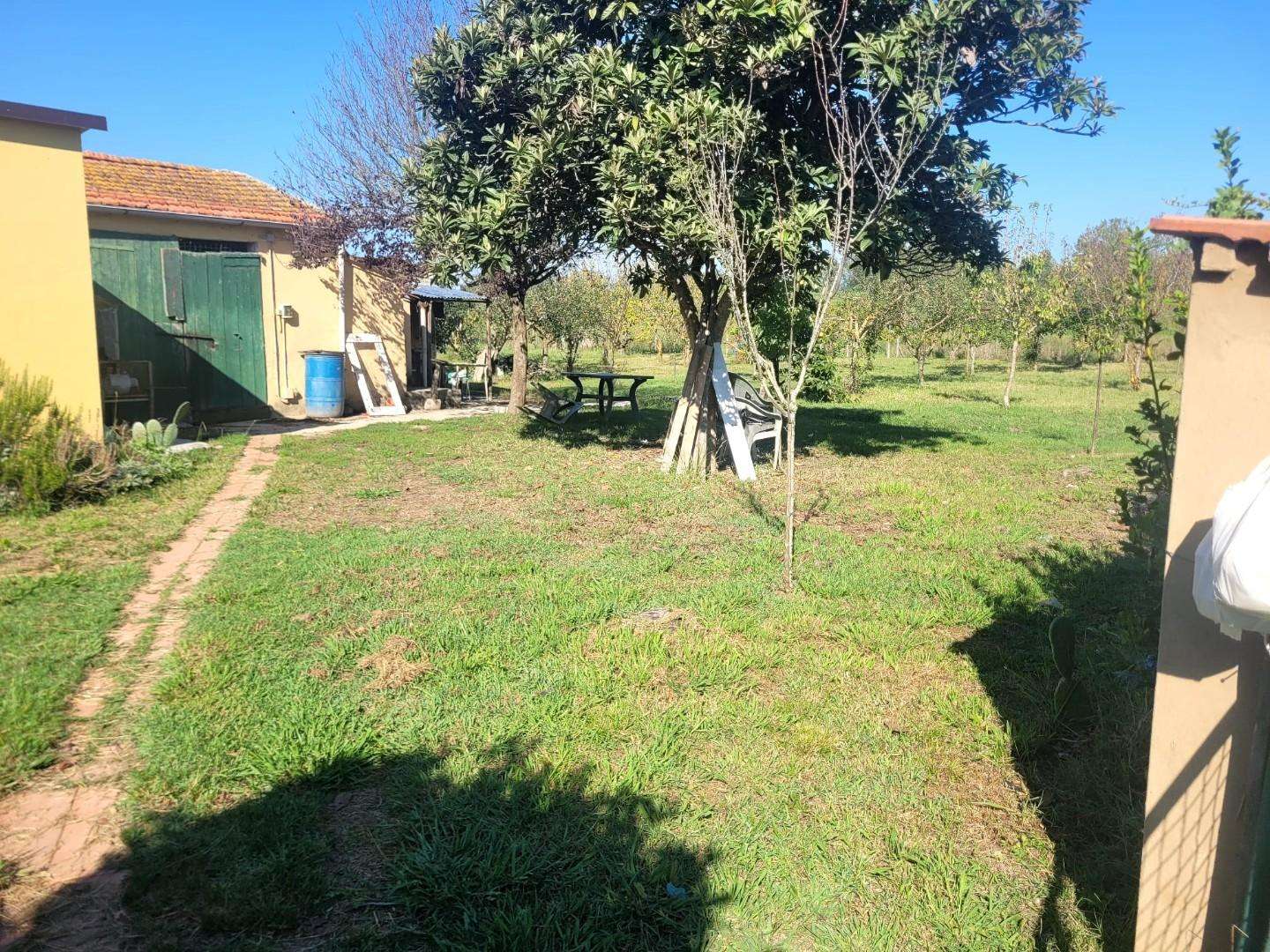 Altro Via delle Catene,, San Giuliano Terme