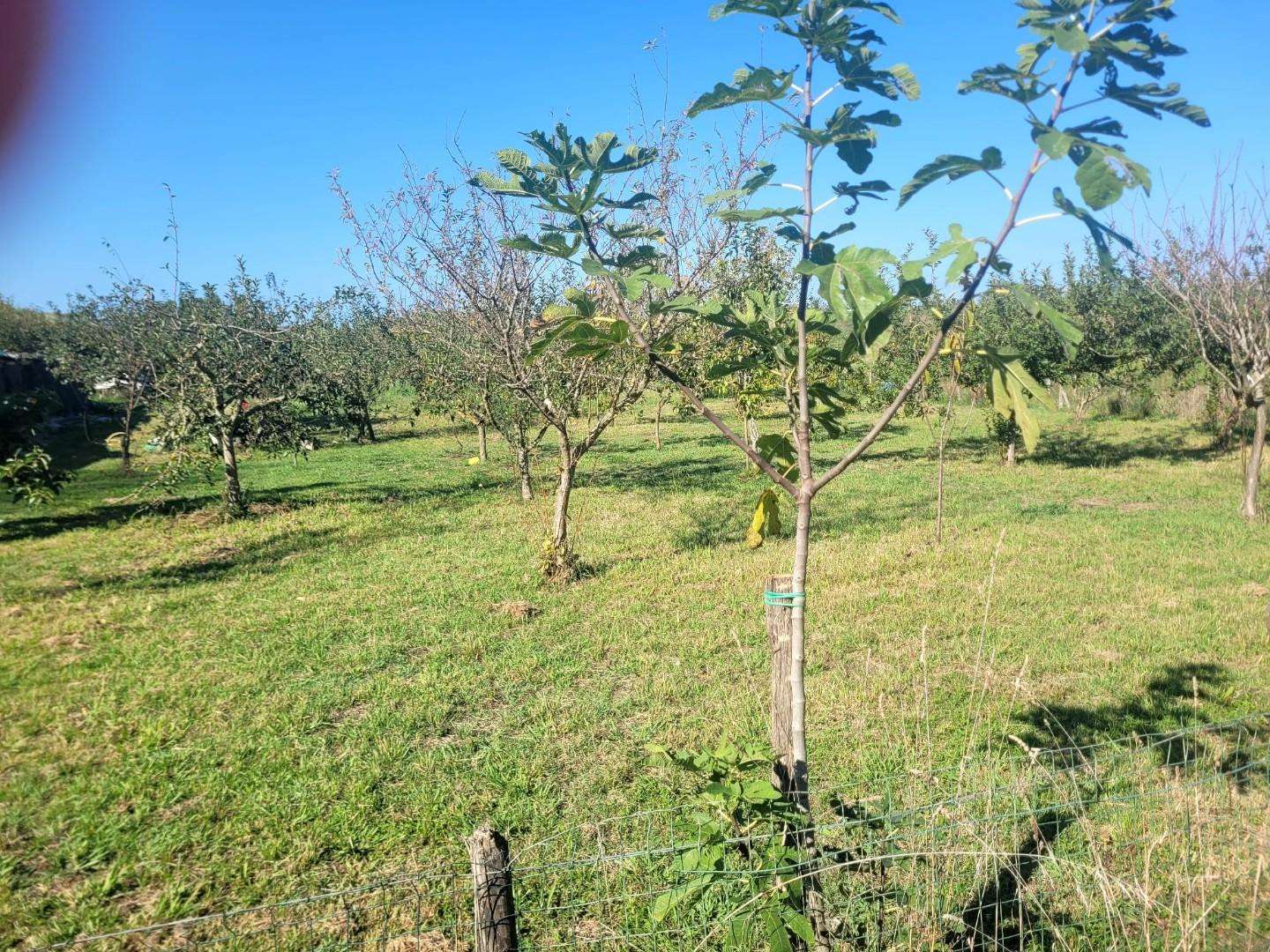  - foto 11