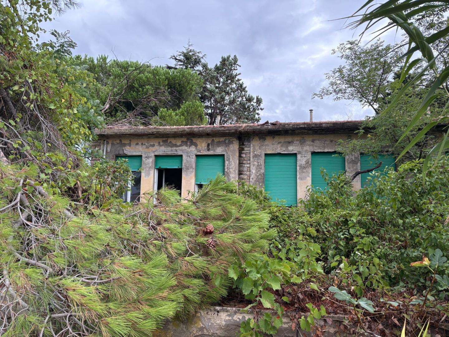  - foto 2