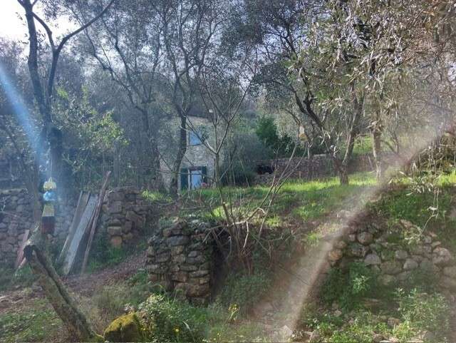  - foto 15