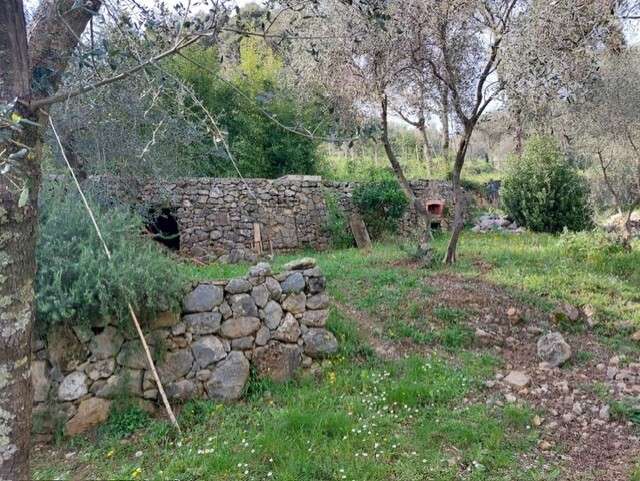  - foto 13
