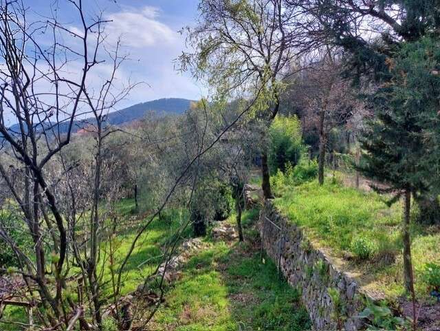  - foto 15