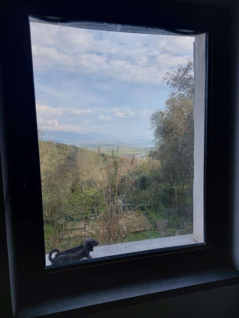  - foto 6